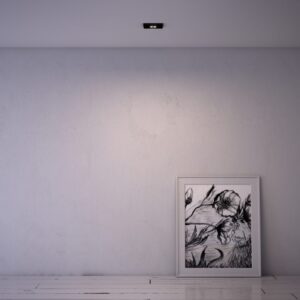 ZEN 1